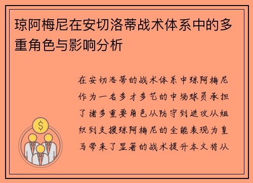 琼阿梅尼在安切洛蒂战术体系中的多重角色与影响分析